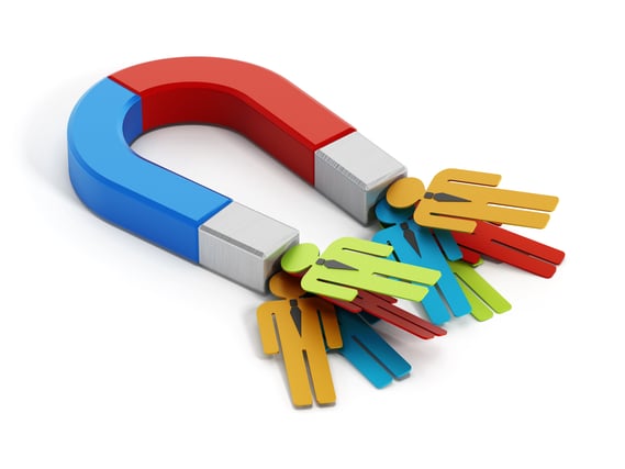 How to hire the best team for your business